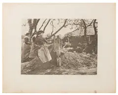 Untitled by Peter Henry Emerson, print (other), offered Jul 2025