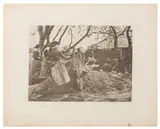 Untitled by Peter Henry Emerson, print (other), offered Jul 2025