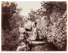 Untitled by Giorgio Sommer, print, offered Jul 2025