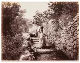 Untitled by Giorgio Sommer, print, offered Jul 2025