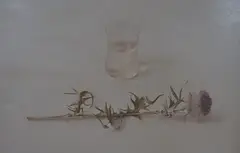 Scotch thistle and glass of water by Bonnie Thompson, oil on board, sold Feb 2025