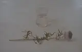Scotch thistle and glass of water by Bonnie Thompson, oil on board, sold Feb 2025