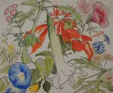 Mexican flower panel by Arthur Victor Coverley-Price, ink and watercolour, sold Feb 2025