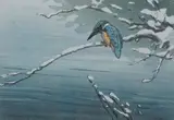 The little kingfisher by Allen W. Seaby, woodcut, sold Feb 2025