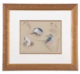 Night Heron Studies by Federico Gemma Svla, 2004, watercolour and pencil on paper, sold Aug 2025