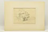 Thorn tree, ireland by Cornelius Varley, 1808, pencil and ink, sold Jul 2023