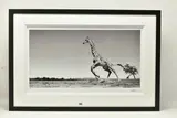 Dance by Anup Shah, print, sold Jul 2023