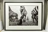 Onward by Anup Shah, print, sold Jul 2023