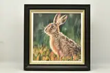 'WATCHFUL', a signed limited edition print of a rabbit, 57/95 by Debbie Boon, print, sold Jul 2023