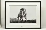 Hunter by Anup Shah, print, sold Jun 2023