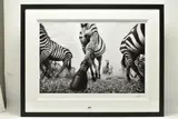 Onward by Anup Shah, print, sold Jun 2023