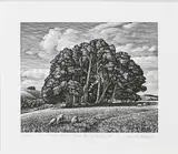Win Green from Berwick DownSigned by Howard Phipps, Wood engraving, sold Jun 2023