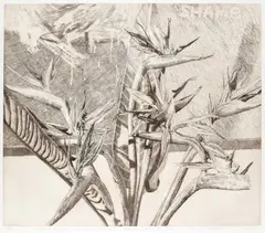 Birds of Paradise and Early Abstract by Modern British MasterSigned by Norman Stevens, Etching, sold Jun 2023