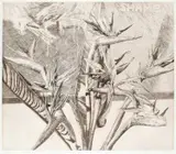 Birds of Paradise and Early Abstract by Modern British MasterSigned by Norman Stevens, Etching, sold Jun 2023