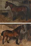 A bay carriage horse in a loosebox facing left by John Emms, oil on canvas, sold Mar 2023