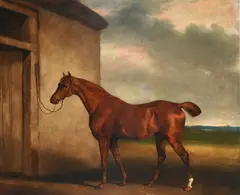 Chestnut hunter before a stableIndistinctly by Abraham Cooper, Oil on canvas, sold Mar 2023
