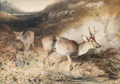 Roe Deer near Loch Rannoch by Newton Smith Fielding, Pencil and watercolour heightened with bodycolour and gum arabic, sold Mar 2023