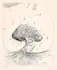 The Moreton Bay fig by Brett Whiteley, 1979, etching and drypoint on ivory wove paper, sold Oct 2025