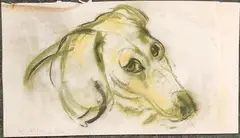 Tête de chien by Vasyl Khmeluk, Pastel, sold Sep 2023