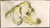 Tête de chien by Vasyl Khmeluk, Pastel, sold Sep 2023