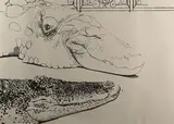 Alligator by Gilles Aillaud, Lithographie en couleurs, sold Apr 2024