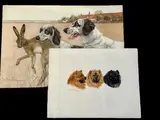 Étude de trois têtes de chow-chow by Léon Danchin, Aquatinte sur papier d'Arches, sold Mar 2025