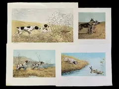 Deux pointers à l'arrêt devant une poule faisane by Léon Danchin, Aquatinte sur papier d'Arches, sold Mar 2025