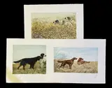 Deux pointers à l'affût by Léon Danchin, Aquatinte sur papier d'Arches, sold Mar 2025