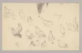 Feuille d'études de tourterelles by Charles Louis Mozin, Crayon noir, sold Nov 2024