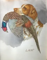 Epagneul breton au rapport by Jean Herblet, Gouache signée en bas vers la droite, sold Dec 2020