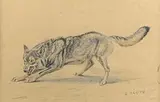 Loup furieux by Édouard Paul Mérite, Aquarelle signée en bas à droite, sold Dec 2020