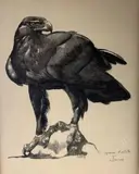 Aigle royal by Paul Jouve, Lithographie originale, tirage au noir, épreuve d'artiste sur papier japon impérial, sold Oct 2020