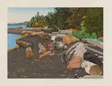 The Seashore at Crofton by E. J. Hughes, 1998, woodcut on paper, sold Jul 2024