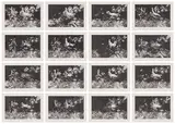 Night Garden Transformations by Jack Shadbolt, 1973, portfolio of 16 lithographs, sold Jul 2024