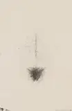 Torso by Kiki Smith, 1992, etching on paper, sold Jul 2024