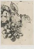 Mixed Fruit by Tony Scherman, etching on paper, sold Jul 2024