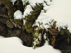 Winter Wren by Robert Bateman, 1979, acrylic on board, sold Jun 2024