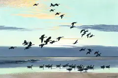 Canada Geese Coming out to the Estuary by Peter Scott, 1978, oil on canvas, sold Jun 2024