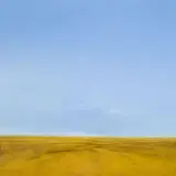 Field at Noon by James Lahey, oil on canvas on board, sold Jun 2024