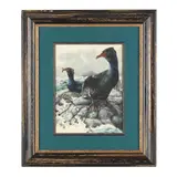 Cormorants by Michael J. Loates, Watercolor and bodycolor on paper, sold Feb 2026
