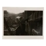 Angie and Juanita Shelton, Unloading Tobacco, Hopewell, Madison County, North Carolina by Rob Amberg, Gelatin silver print, sold Jan 2026