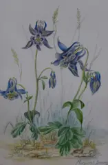 Watercolours by Margaret Dandy, watercolor, sold Jul 2023