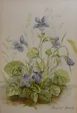 Watercolours by Margaret Dandy, watercolor, sold Jul 2023
