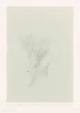 Untitled by Peter Blake, pencil, offered Jul 2025