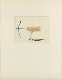 Untitled by Josep Maria Riera I Arago, pencil, offered Jul 2025