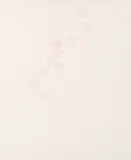 Untitled by Michael Landy, pencil, offered Jul 2025