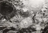Untitled by Anya Gallacio, pencil, offered Jul 2025