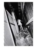 Eros by Daidō Moriyama, pencil, sold Nov 2024