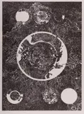 Mandala Lithograph #120 by Bruce Conner, Lithograph #120 Lithograph, sold Oct 2024
