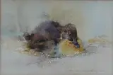 Duck resting by Ian Armour-Chelu, 1981, watercolour, sold Jan 2025